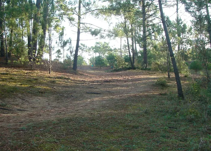 Dom wakacyjny Maison 3 Chambres, Au Calme, Proche Plage, Fibre Internet - Fr-1-323-525 *