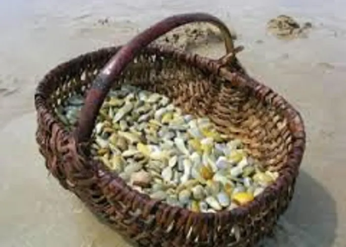 Maison 3 Chambres, Au Calme, Proche Plage, Fibre Internet - Fr-1-323-525