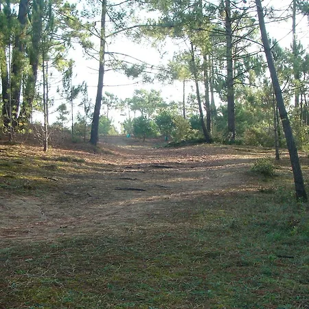 펜션 Maison 3 Chambres, Au Calme, Proche Plage, Fibre Internet - Fr-1-323-525 *