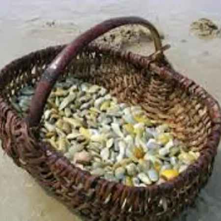 Maison 3 Chambres, Au Calme, Proche Plage, Fibre Internet - Fr-1-323-525